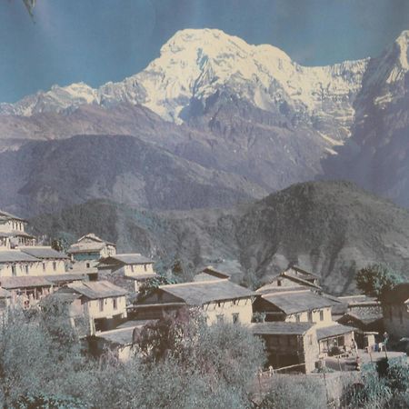 Mount Annapurna Guest House Катманду Экстерьер фото